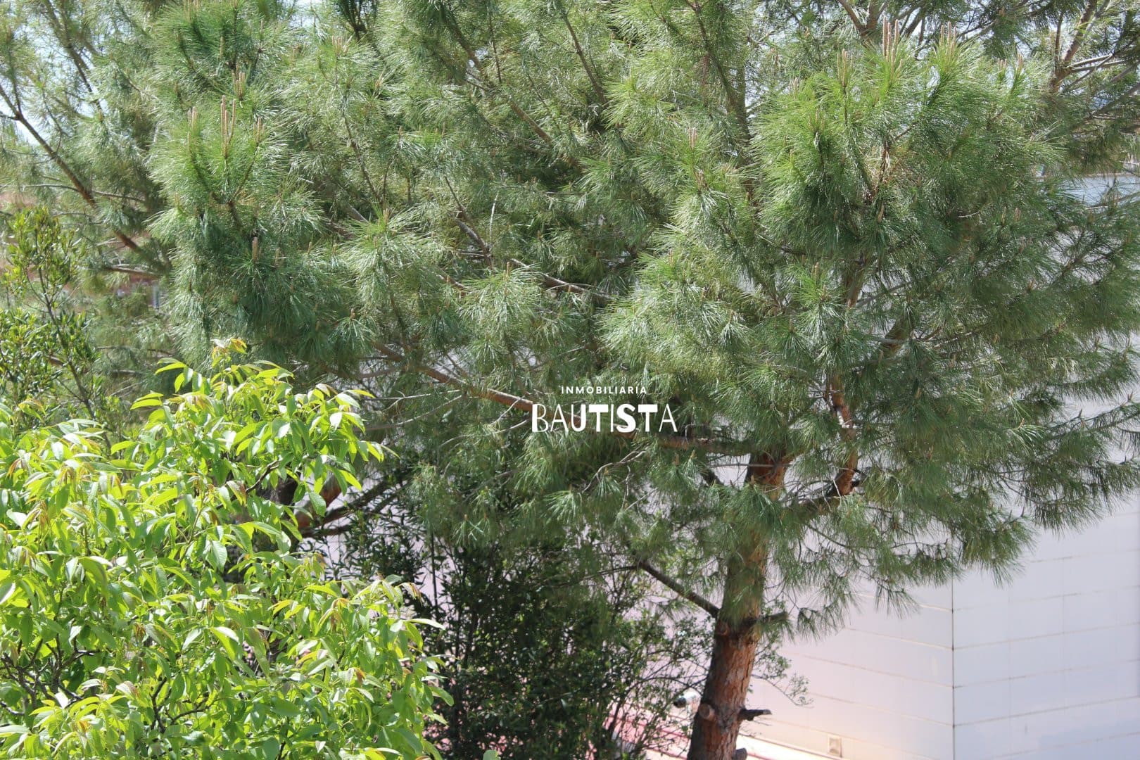 Imagen 28