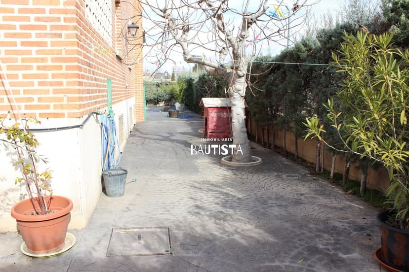 Imagen 75