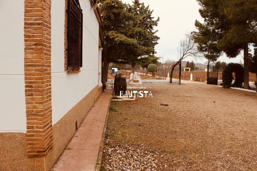 Imagen 53