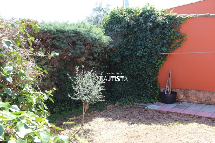 Imagen 71