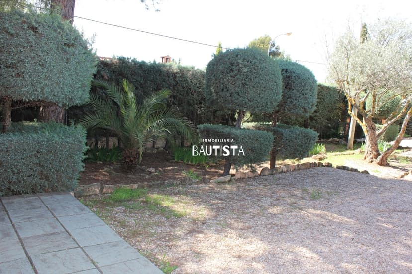 Imagen 81